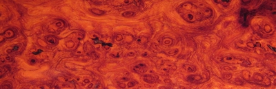 Stacks Image 181