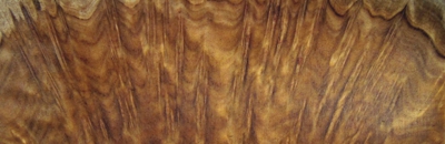 Stacks Image 294
