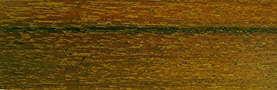 Stacks Image 339