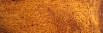 Stacks Image 675