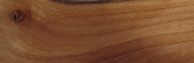 Stacks Image 824