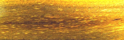 Stacks Image 844