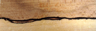 Stacks Image 854